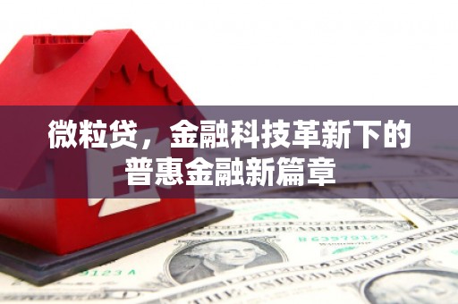 章贡微粒贷，金融科技革新下的普惠金融新篇章