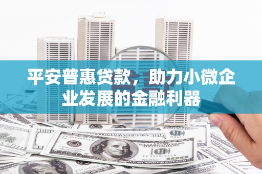 浦江平安普惠贷款，助力小微企业发展的金融利器