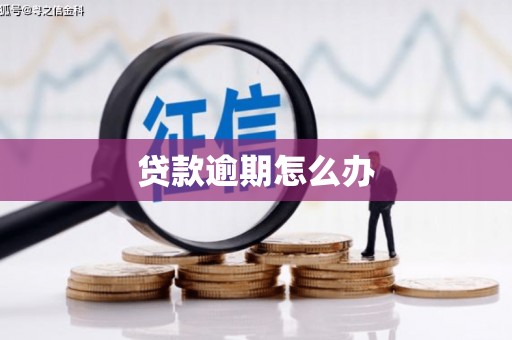 镇安贷款逾期怎么办