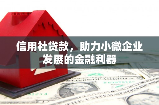狮子山信用社贷款，助力小微企业发展的金融利器