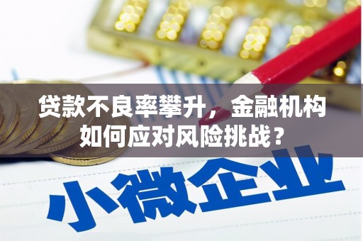 长涂贷款不良率攀升，金融机构如何应对风险挑战？