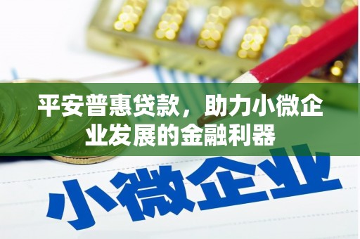 贵德平安普惠贷款，助力小微企业发展的金融利器