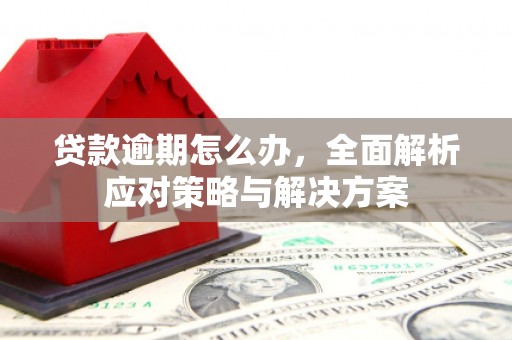 达孜贷款逾期怎么办，全面解析应对策略与解决方案