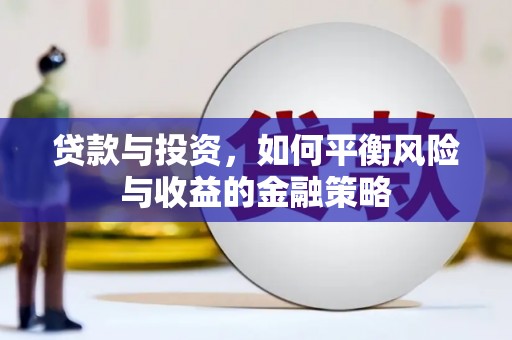 西平贷款与投资，如何平衡风险与收益的金融策略