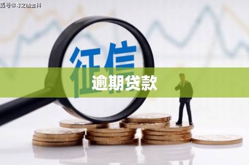 吴忠逾期贷款