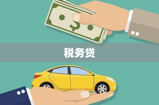二水税务贷