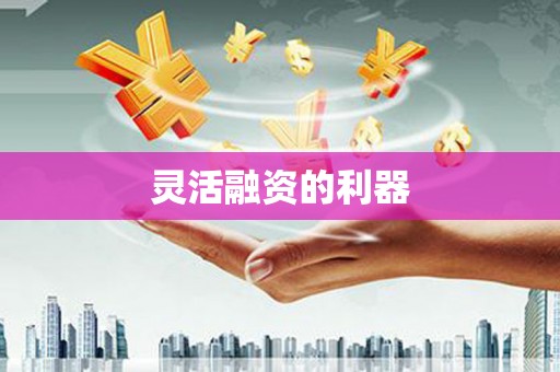 临湘灵活融资的利器