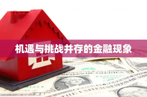 达孜机遇与挑战并存的金融现象