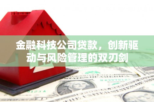 贵溪金融科技公司贷款，创新驱动与风险管理的双刃剑